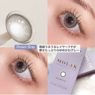 MOLAK 1day Dream Gray モラクワンデー ドリームグレー